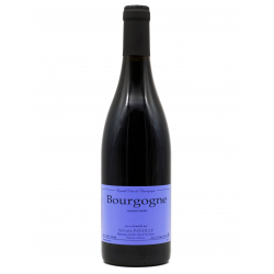 Bourgogne 2021 Rouge - Sylvain Pataille