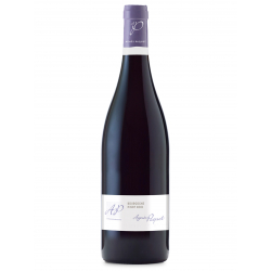 Bourgogne Pinot Noir 2022 - Agnes Paquet