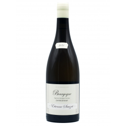 Bourgogne 2021 Chardonnay - Etienne Sauzet