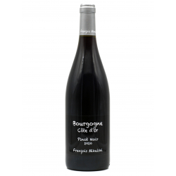 Bourgogne 2020 Pinot Noir - Mikulski